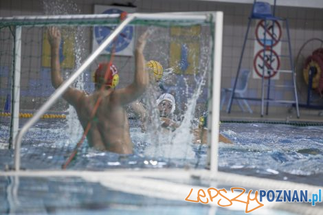 Box Logistics Waterpolo Poznań – Neptun Łódź  Foto: lepszyPOZNAN.pl/Ewelina Jaśkowiak