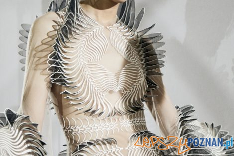 Iris van Herpen  Foto: materiały prasowe / mollysjlowe.com