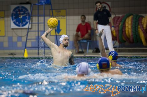 Box Logistics Waterpolo Poznań – Neptun Łódź  Foto: lepszyPOZNAN.pl/Ewelina Jaśkowiak