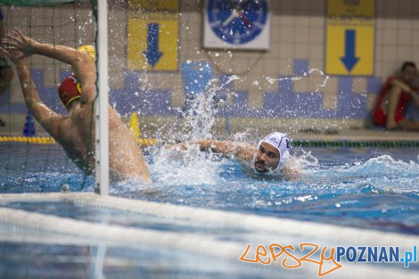 Box Logistics Waterpolo Poznań – Neptun Łódź  Foto: lepszyPOZNAN.pl/Ewelina Jaśkowiak