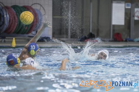 Box Logistics Waterpolo Poznań – Neptun Łódź  Foto: lepszyPOZNAN.pl/Ewelina Jaśkowiak