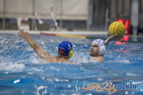 Box Logistics Waterpolo Poznań – Neptun Łódź  Foto: lepszyPOZNAN.pl/Ewelina Jaśkowiak