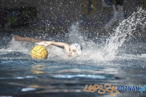 Box Logistics Waterpolo Poznań – Neptun Łódź  Foto: lepszyPOZNAN.pl/Ewelina Jaśkowiak