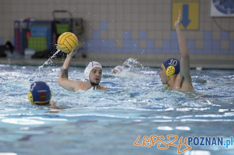 Box Logistics Waterpolo Poznań – Neptun Łódź  Foto: lepszyPOZNAN.pl/Ewelina Jaśkowiak