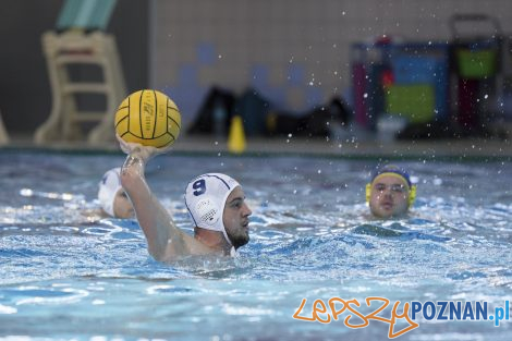 Box Logistics Waterpolo Poznań – Neptun Łódź  Foto: lepszyPOZNAN.pl/Ewelina Jaśkowiak