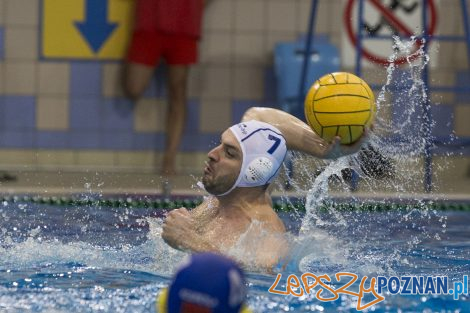 Box Logistics Waterpolo Poznań – Neptun Łódź  Foto: lepszyPOZNAN.pl/Ewelina Jaśkowiak