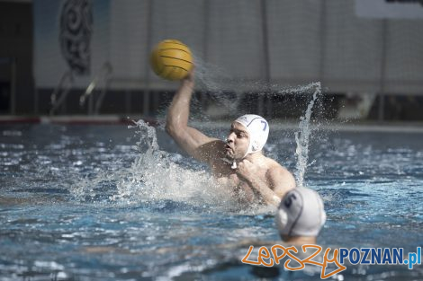 Box Logistics Waterpolo Poznań – Neptun Łódź  Foto: lepszyPOZNAN.pl/Ewelina Jaśkowiak