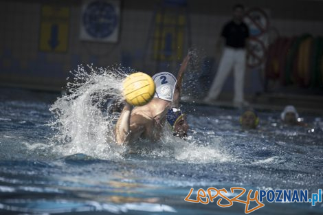 Box Logistics Waterpolo Poznań – Neptun Łódź  Foto: lepszyPOZNAN.pl/Ewelina Jaśkowiak