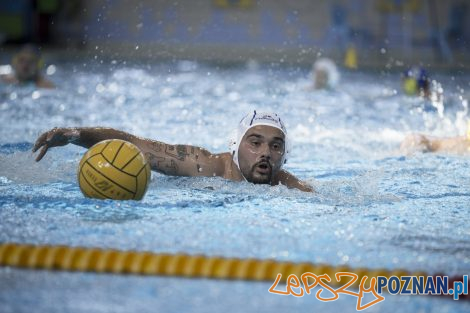 Box Logistics Waterpolo Poznań – Neptun Łódź  Foto: lepszyPOZNAN.pl/Ewelina Jaśkowiak