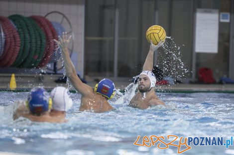 Box Logistics Waterpolo Poznań – Neptun Łódź  Foto: lepszyPOZNAN.pl/Ewelina Jaśkowiak