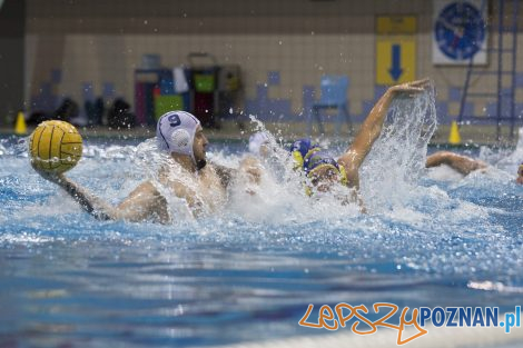 Box Logistics Waterpolo Poznań – Neptun Łódź  Foto: lepszyPOZNAN.pl/Ewelina Jaśkowiak