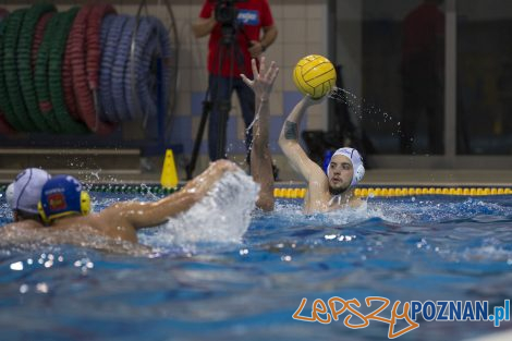 Box Logistics Waterpolo Poznań – Neptun Łódź  Foto: lepszyPOZNAN.pl/Ewelina Jaśkowiak