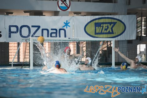 Box Logistics Waterpolo Poznań – Neptun Łódź  Foto: lepszyPOZNAN.pl/Ewelina Jaśkowiak