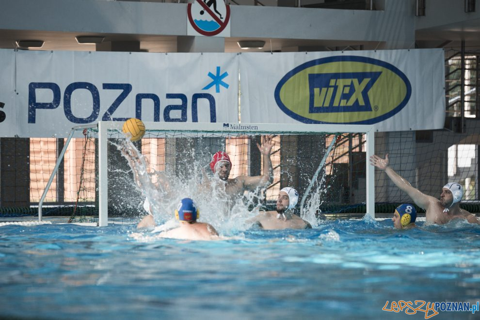 Box Logistics Waterpolo Poznań – Neptun Łódź  Foto: lepszyPOZNAN.pl/Ewelina Jaśkowiak