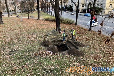 Schron szczelina przeciwlotnicza - Park Wieniawskiego  Foto: Zarząd Zieleni Miejskiej / fb