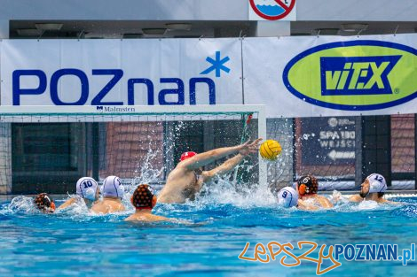 Box Logistics Waterpolo Poznań - KSZO Ostrowiec Świętokrzyski  Foto: lepszyPOZNAN.pl/Piotr Rychter