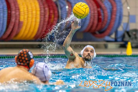 Box Logistics Waterpolo Poznań - KSZO Ostrowiec Świętokrzyski  Foto: lepszyPOZNAN.pl/Piotr Rychter