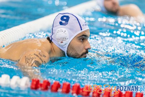 Box Logistics Waterpolo Poznań - KSZO Ostrowiec Świętokrzyski  Foto: lepszyPOZNAN.pl/Piotr Rychter