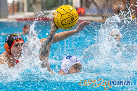 Box Logistics Waterpolo Poznań - KSZO Ostrowiec Świętokrzyski  Foto: lepszyPOZNAN.pl/Piotr Rychter