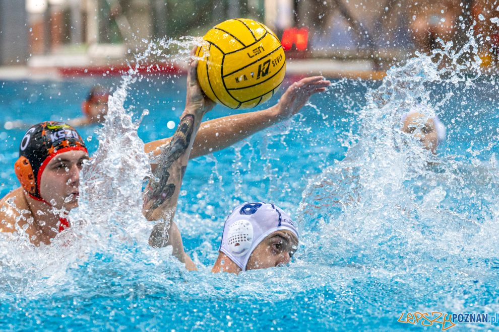 Box Logistics Waterpolo Poznań - KSZO Ostrowiec Świętokrzyski  Foto: lepszyPOZNAN.pl/Piotr Rychter