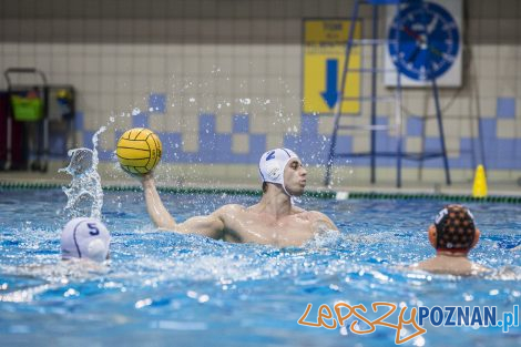 box Logistics Waterpolo Poznań –KSZO Ostrowiec Waterpolo  Foto: lepszyPOZNAN.pl/Ewelina Jaśkowiak