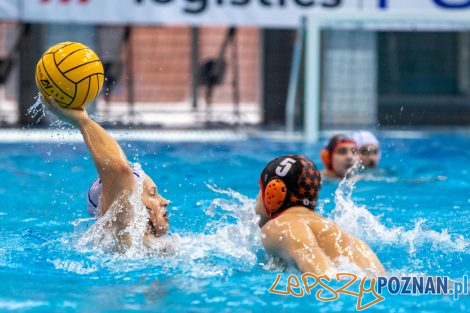 Box Logistics Waterpolo Poznań - KSZO Ostrowiec Świętokrzyski  Foto: lepszyPOZNAN.pl/Piotr Rychter