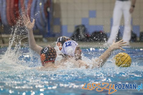 box Logistics Waterpolo Poznań –KSZO Ostrowiec Waterpolo  Foto: lepszyPOZNAN.pl/Ewelina Jaśkowiak