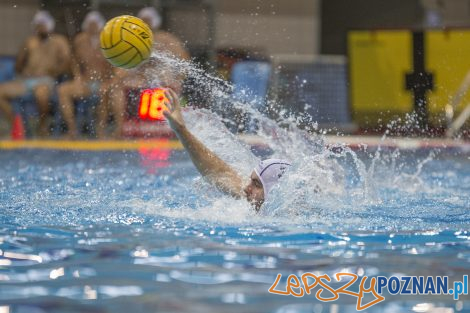 box Logistics Waterpolo Poznań –KSZO Ostrowiec Waterpolo  Foto: lepszyPOZNAN.pl/Ewelina Jaśkowiak