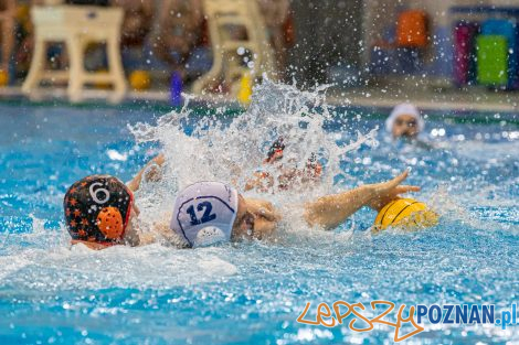 Box Logistics Waterpolo Poznań - KSZO Ostrowiec Świętokrzyski  Foto: lepszyPOZNAN.pl/Piotr Rychter