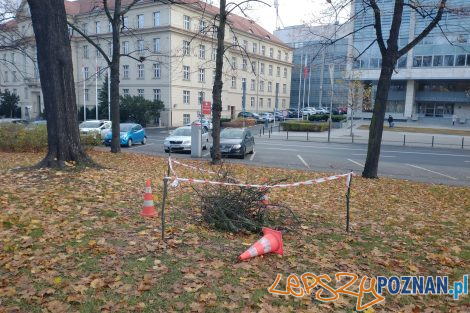 Schron szczelina przeciwlotnicza - Park Wieniawskiego  Foto: Zarząd Zieleni Miejskiej / fb