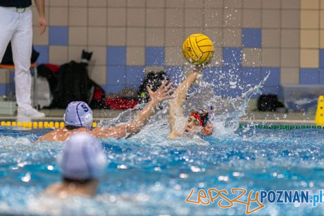 Box Logistics Waterpolo Poznań - KSZO Ostrowiec Świętokrzyski  Foto: lepszyPOZNAN.pl/Piotr Rychter