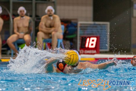 Box Logistics Waterpolo Poznań - KSZO Ostrowiec Świętokrzyski  Foto: lepszyPOZNAN.pl/Piotr Rychter