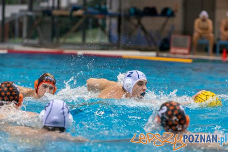 Box Logistics Waterpolo Poznań - KSZO Ostrowiec Świętokrzyski  Foto: lepszyPOZNAN.pl/Piotr Rychter