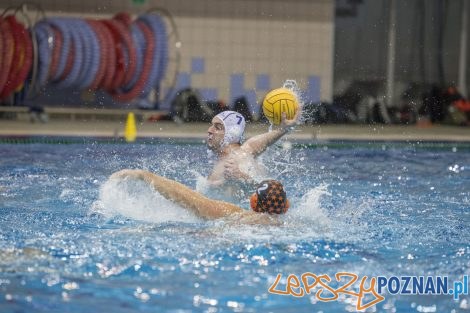 box Logistics Waterpolo Poznań –KSZO Ostrowiec Waterpolo  Foto: lepszyPOZNAN.pl/Ewelina Jaśkowiak