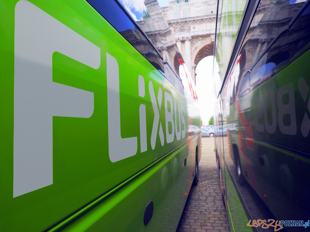 Flixbus  Foto: materiały prasowe