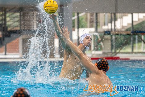 Box Logistics Waterpolo Poznań - KSZO Ostrowiec Świętokrzyski  Foto: lepszyPOZNAN.pl/Piotr Rychter