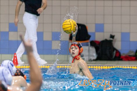 Box Logistics Waterpolo Poznań - KSZO Ostrowiec Świętokrzyski  Foto: lepszyPOZNAN.pl/Piotr Rychter