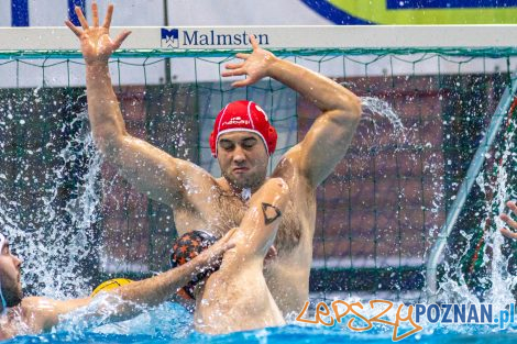 Box Logistics Waterpolo Poznań - KSZO Ostrowiec Świętokrzyski  Foto: lepszyPOZNAN.pl/Piotr Rychter