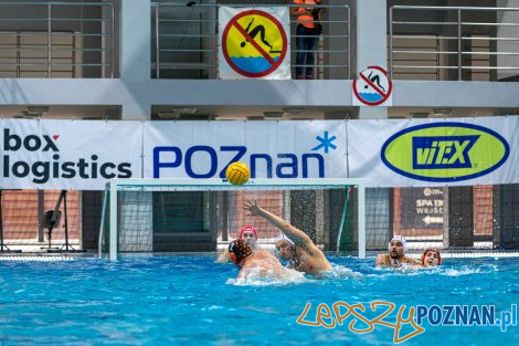 Box Logistics Waterpolo Poznań - KSZO Ostrowiec Świętokrzyski  Foto: lepszyPOZNAN.pl/Piotr Rychter