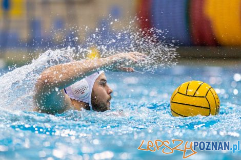 Box Logistics Waterpolo Poznań - KSZO Ostrowiec Świętokrzyski  Foto: lepszyPOZNAN.pl/Piotr Rychter