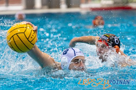 Box Logistics Waterpolo Poznań - KSZO Ostrowiec Świętokrzyski  Foto: lepszyPOZNAN.pl/Piotr Rychter