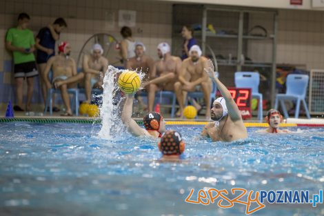 box Logistics Waterpolo Poznań –KSZO Ostrowiec Waterpolo  Foto: lepszyPOZNAN.pl/Ewelina Jaśkowiak