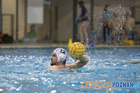 box Logistics Waterpolo Poznań –KSZO Ostrowiec Waterpolo  Foto: lepszyPOZNAN.pl/Ewelina Jaśkowiak