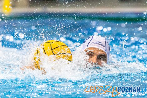 Box Logistics Waterpolo Poznań - KSZO Ostrowiec Świętokrzyski  Foto: lepszyPOZNAN.pl/Piotr Rychter