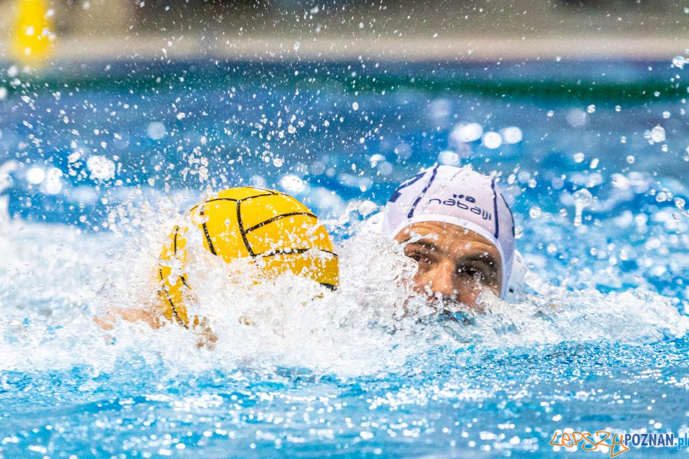 Box Logistics Waterpolo Poznań - KSZO Ostrowiec Świętokrzyski  Foto: lepszyPOZNAN.pl/Piotr Rychter