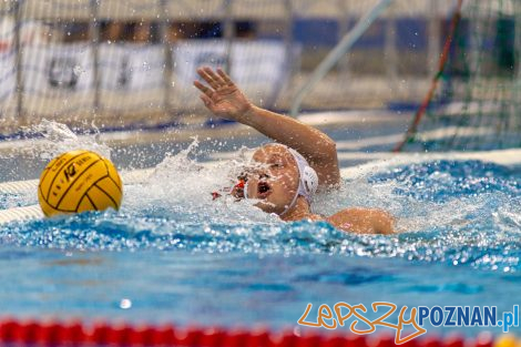 Box Logistics Waterpolo Poznań - KSZO Ostrowiec Świętokrzyski  Foto: lepszyPOZNAN.pl/Piotr Rychter