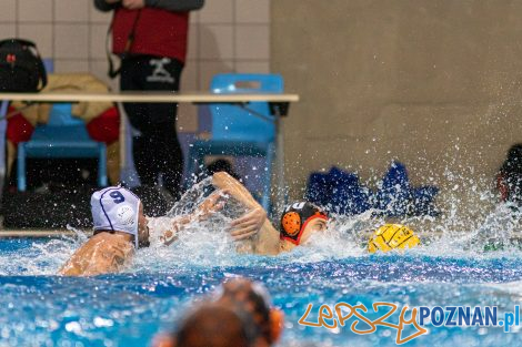 Box Logistics Waterpolo Poznań - KSZO Ostrowiec Świętokrzyski  Foto: lepszyPOZNAN.pl/Piotr Rychter