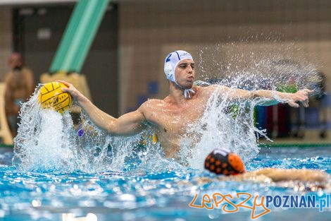 Box Logistics Waterpolo Poznań - KSZO Ostrowiec Świętokrzyski  Foto: lepszyPOZNAN.pl/Piotr Rychter