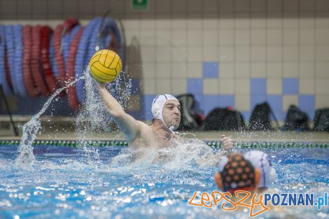 box Logistics Waterpolo Poznań –KSZO Ostrowiec Waterpolo  Foto: lepszyPOZNAN.pl/Ewelina Jaśkowiak