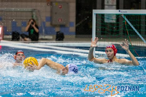 Box Logistics Waterpolo Poznań - KSZO Ostrowiec Świętokrzyski  Foto: lepszyPOZNAN.pl/Piotr Rychter